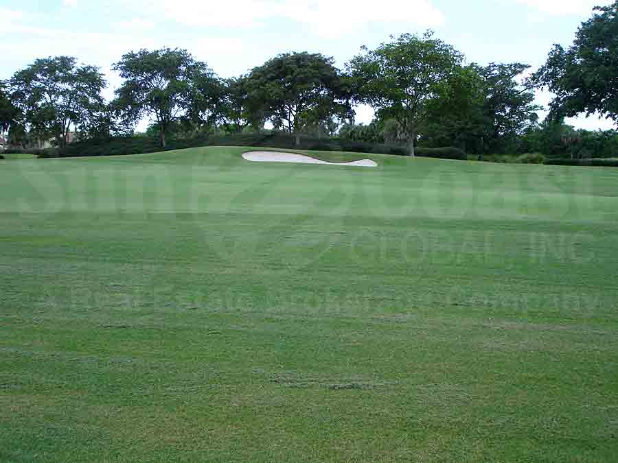 Bunkers View of Golf Course